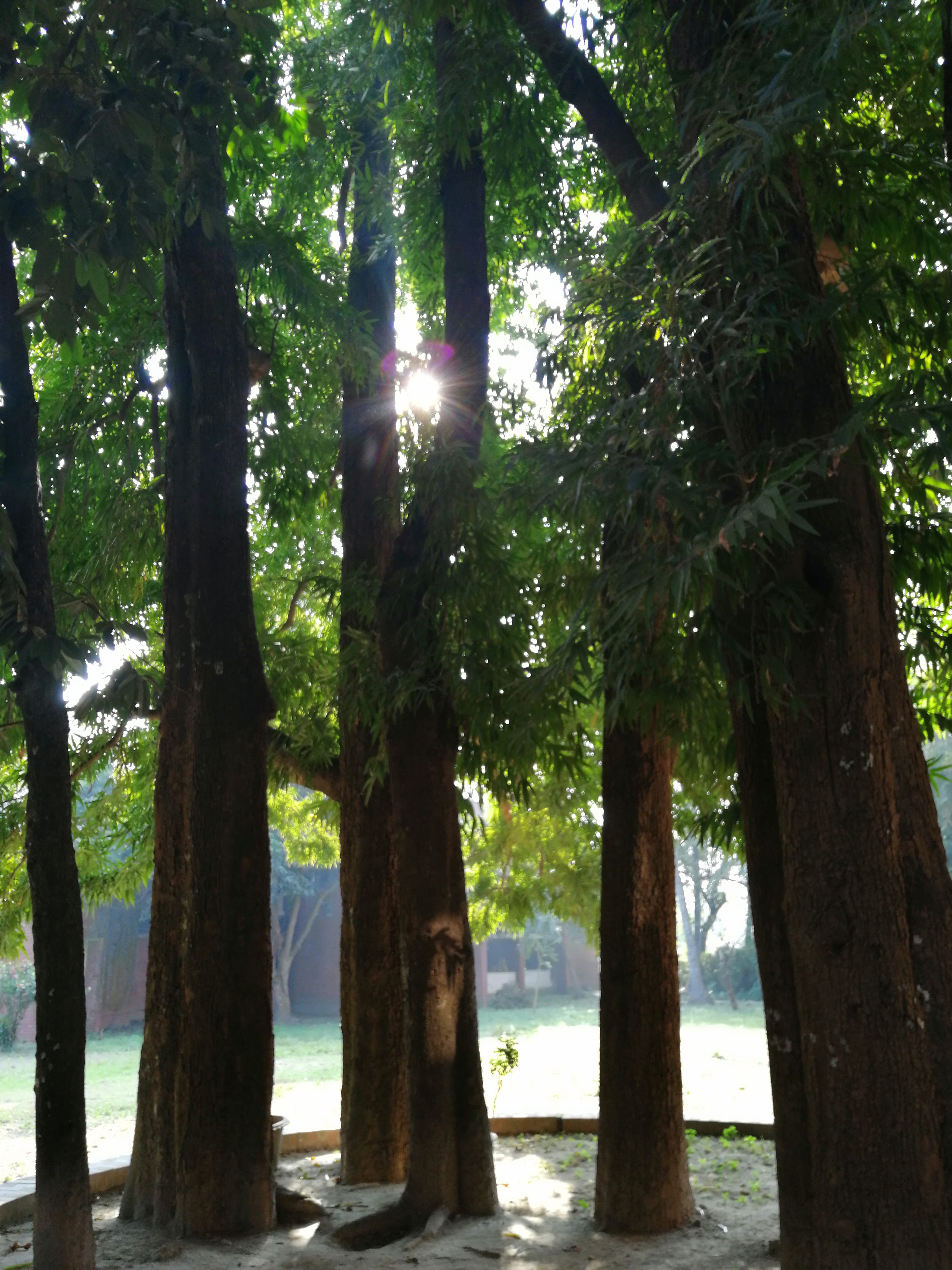 Noor Afrose — photo